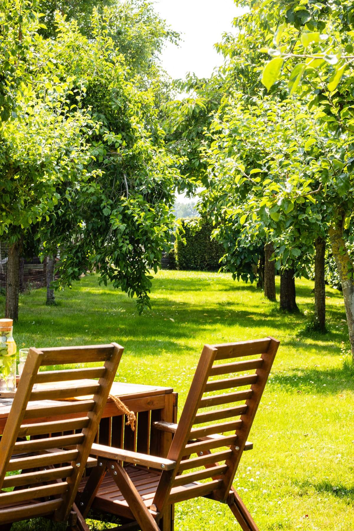 Der Obstgarten von De Sluishoeve in der Abendsonne